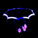 Il Sogno . Clown end bubbles show